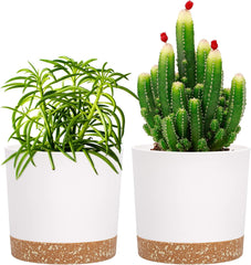 Lot de 2 pots de fleurs de 12,7 cm, pots de fleurs d'intérieur avec trous de drainage et base amovible, soucoupes décoratives modernes pour jardinières d'extérieur (blanc 12,7 cm)