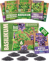Graines de basilic biologiques dans un ensemble de 6 - 6 graines de basilic pour une culture facile dans le jardin, le balcon ou le parterre surélevé - Graines de plantes - Semis