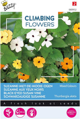 Fleurs grimpantes bourdonnantes, mélange Thunbergia