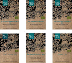 Nos plantes préférées : Plantes vivaces et fleurs d'été pour les amateurs de fleurs (biologiques) - Coffret cadeau de graines avec 6 jolies variétés pour une explosion florale sauvage - vous rend heureux !