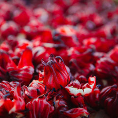 Hibiscus Sabdariffa Bio Schnell Wachsende Sträucher Hecken Immergrüne Sträucher Winterhart Blühend Blumenwiese Für Sonnige Plätze Hochbeet Küchenkräuter Balkonpflanzen 60Samen