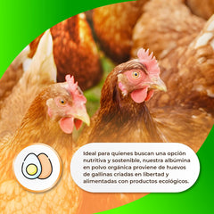 Sermand Nutrition Ei-albumine 100% poeder, glutenvrij, lactosevrij