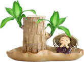 Brasilianische Holzpflanze, Lucky Bamboos-Pflanzen Für Den Innenbereich, Hydroponischer Lucky Bamboos-Topf Mit Keramikschale Zur Reinigung Der Raumluft, Brasilianische Lucky Wood-Pflanze