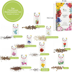 Graines de fleurs pour le jardin et le balcon : 10 variétés de graines de fleurs de qualité supérieure sous forme de kit de graines de plantes - graines de fleurs de balcon - graines de fleurs sauvages pour le balcon et le jardin de OwnGrown