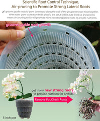 Pot de fleur d'orchidée avec trous de drainage pour la transplantation, excellente circulation de l'air, 2 pièces, plastique double couche, jardinière d'orchidée en céramique, pot de fleur d'orchidée transparent, décoratif