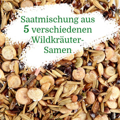 Wildkräuter Samen : Bunte Premium Kräuter Samen Mischung mit Löwenzahn Samen, Sauerampfer, Spitzwegerich uvm – Unkraut Samen Mix für Garten, Balkon – Kräuter Pflanzen Saatgut alte Sorten von OwnGrown