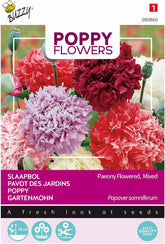 Fleurs de pavot Buzzy Mac Paeoniflorum Gef. Mélanger.