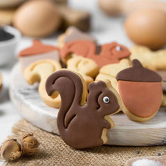 0255164 Set de 2 forme de biscuiți din plastic Bosco, setul ideal pentru decorațiuni din pastă de zahăr sau pastă de gumă, Fabricate în Italia, design original. Pachet de 2.