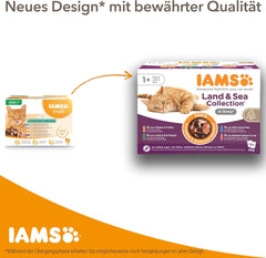 IAMS Delights Kitten Nassfutter - Multipack Katzenfutter mit Hunn in Sauce, Futter de haute qualité pour les enfants de 1 à 12 mois, 12 x 85 g
