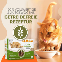 IAMS Delights Land Collection Nourriture humide pour chats sans céréales – Pack varié de viande Multi Pack Nourriture humide sans céréales pour chats de 1 an et plus 12 x 85 g
