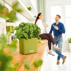 LECHUZA CUBE Couleur 16 gris ardoise 13584