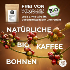 Premium Bio Kaffeebohnen 1000g, 100% Honduras Hochland Arabica Kaffeebohnen Bio - Köstlich, doux, sans danger - Bio Kaffee ganze Bohnen - Idéal comme Kaffeebohnen Vollaautomat - 360° Rundum Ehrlich