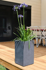 Basalt Up Pot de Fleur Carré Haut 36 L Aspect Béton Mur Uni Réservoir d'Eau 29,5 x 29,5 x 49,5 cm Gris Anthracite