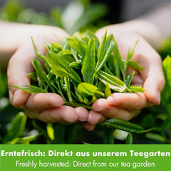 Goodwei Sencha Ceai verde organic Four Seasons - Ceai verde aromat, uÈor amar, 250 g