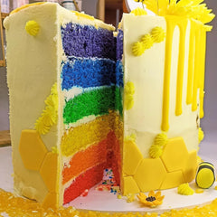 Sugarflair Max Concentré colorant alimentaire set/6, pâte colorant alimentaire Max Concentrate, EXTRA bleu, rouge, orange, jaune, vert, violet - 6x25g