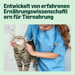 Amazon Nourriture humide sans céréales pour chats adultes Sélection de viande en gelée 4,76 kg 56 paquets de 85 g (anciennement Lifelong)