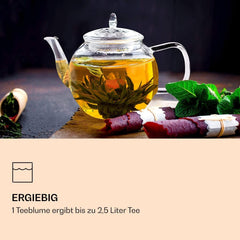 Boîte mixte élégante de 6 pièces Feelino - Fleurs de thé blanc Feelino dans une magnifique boîte de dégustation et cadeau avec 6 roses de thé blanc différentes, emballées individuellement sous vide, paquet de 1 pièce