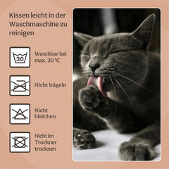 Lits, couvertures et meubles, animaux, chats, lits pour chats, Chats - lits, matelas