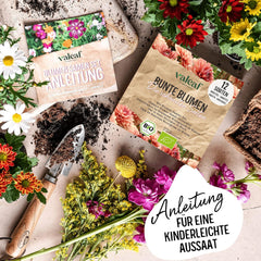 Ensemble de graines de fleurs biologiques | 12 variétés de graines de fleurs | Graines de fleurs haut de gamme | Ensemble de graines de plantes de graines de fleurs sauvages | Graines de fleurs | Graines de fleurs pour le balcon | Cadeau idéal avec des graines de fleurs