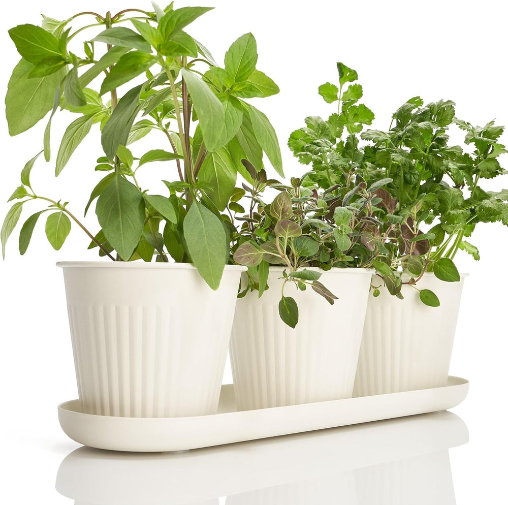 Ensemble de 3 magnifiques pots de jardin d'herbes aromatiques, parfaits pour n'importe quel rebord de fenêtre ou comptoir de cuisine, un ensemble de jardinières décoratives modernes comprenant un plateau et...