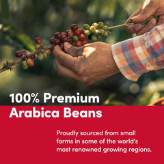 Cafea măcinată Tim Horton's 100% Arabica, prăjire medie, amestec original, 340 g