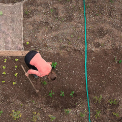 Relaxdays Tuyau d'arrosage de 5 m de longueur, arrosage uniforme des couches de jardin, plat, prêt à raccorder, tuyau d'arrosage, vert