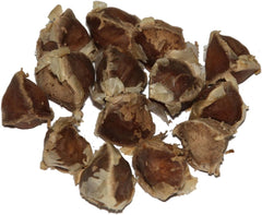 Moringa - Moringa oleifera - 100 graines *Aussi appelé raifort*