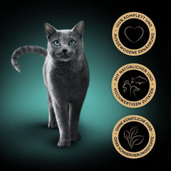 Colecție de sosuri Sheba Tray Multipack, varietate fină MSC, 4x12x85g