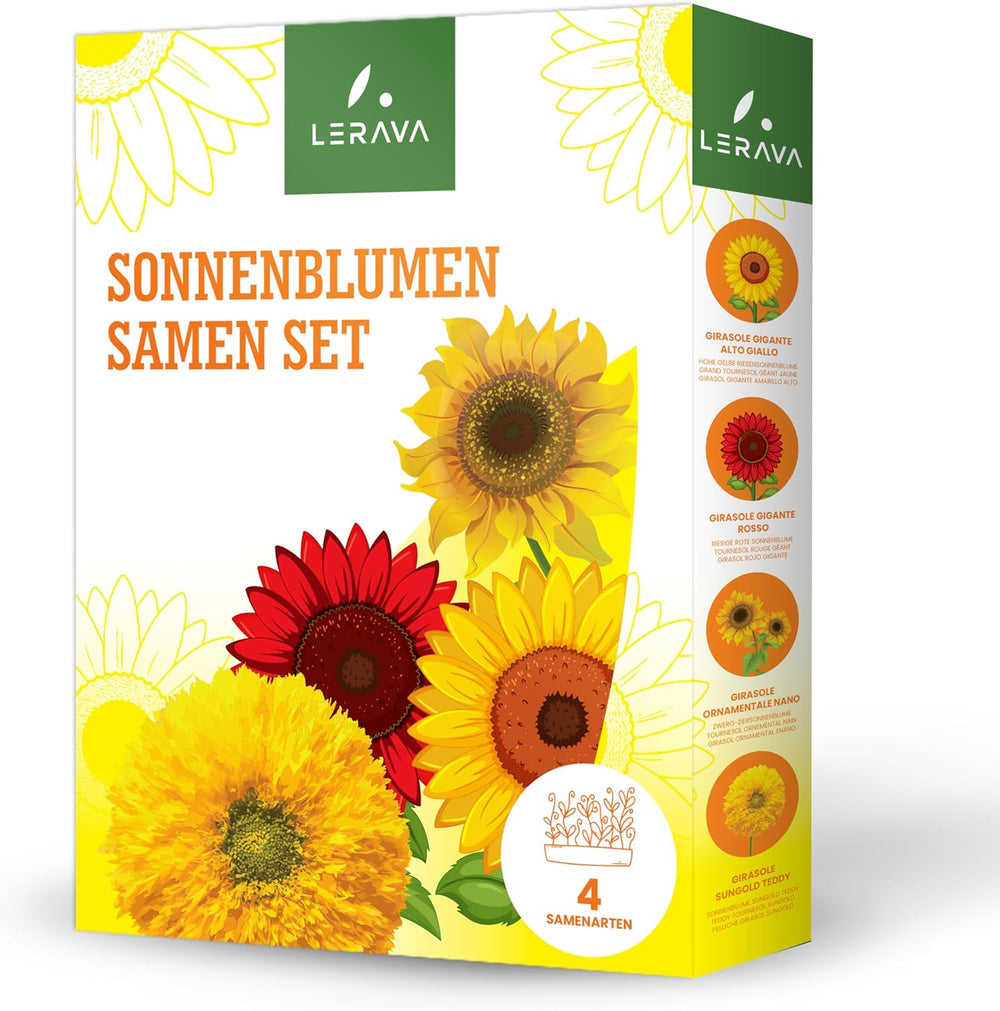 LERAVA® Sonnenblumen Samen Set (4 Sorten) - Riesige gelbe & rote Sonnenblume - Zwerg und Sungold Teddy - Premium Sonnenblumensamen für Garten und Balkon - Blumensamen Geschenk für Hobbygärtner