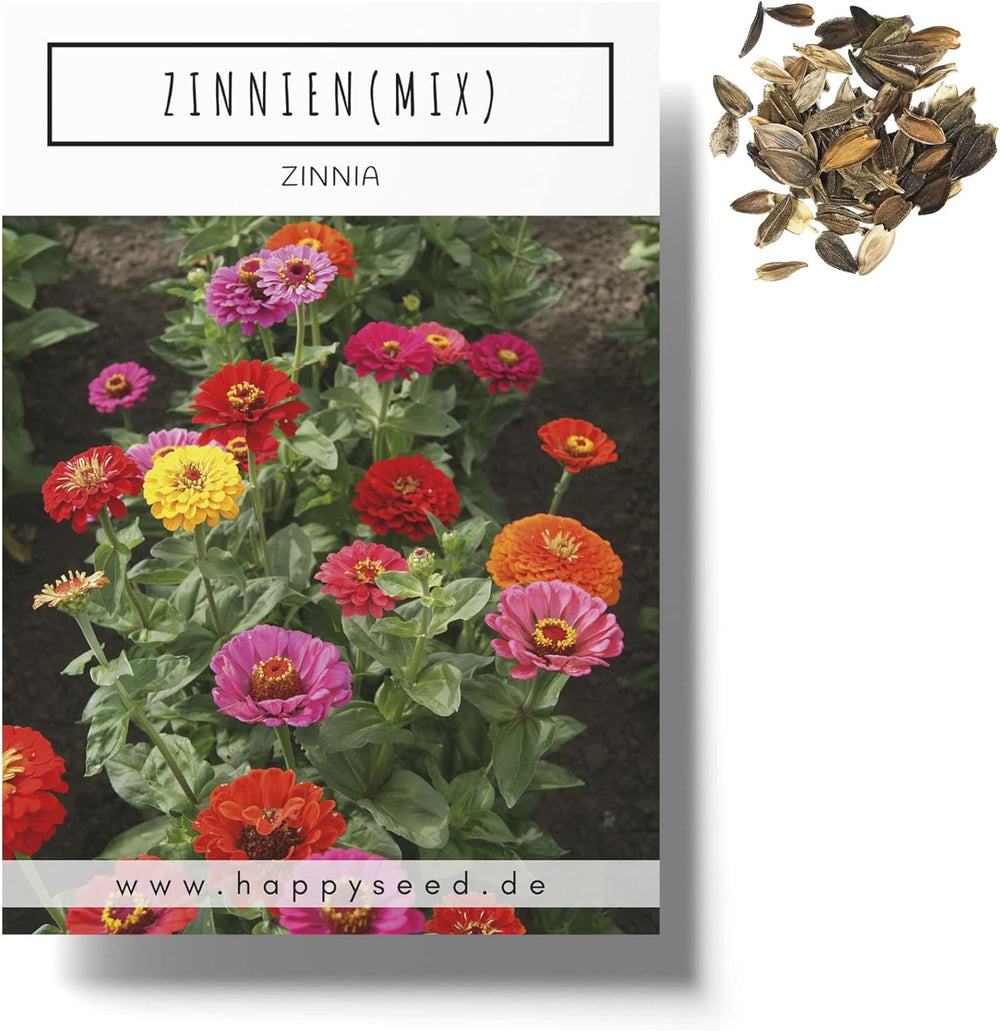 Mélange de graines de Zinnia (Zinnia) - Fleurs d'été colorées pour le parterre de jardin, le balcon, la terrasse et comme fleurs coupées dans des vases