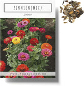 Mélange de graines de Zinnia (Zinnia) - Fleurs d'été colorées pour le parterre de jardin, le balcon, la terrasse et comme fleurs coupées dans des vases