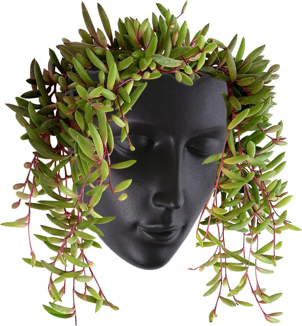 Notakia Pot de fleurs mural à facettes pour intérieur et extérieur avec drainage pour plantes grasses, cactus et petites plantes, décoration unique pour la maison, cadeau pour les amis et la famille