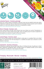 Fleurs de pavot Buzzy Poppy Islande