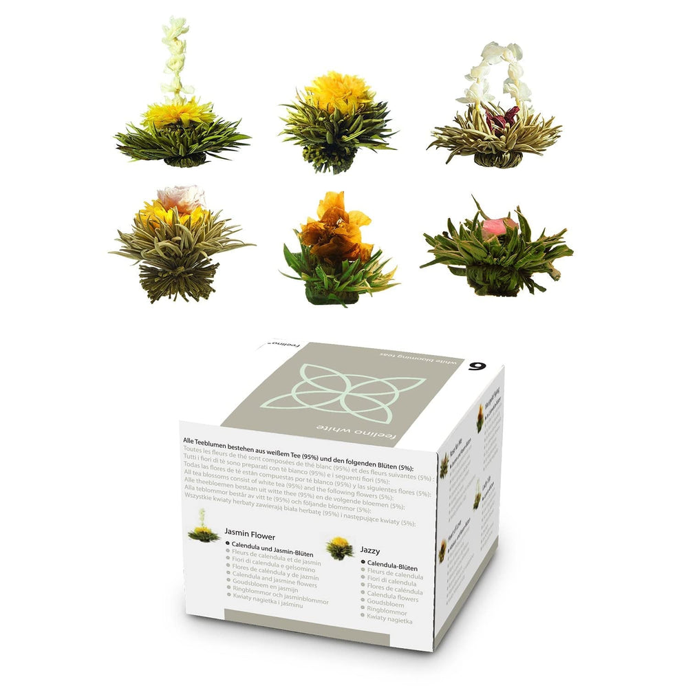 Boîte mixte élégante de 6 pièces Feelino - Fleurs de thé blanc Feelino dans une magnifique boîte de dégustation et cadeau avec 6 roses de thé blanc différentes, emballées individuellement sous vide, paquet de 1 pièce