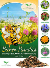 Magic of Nature Balcony Box Mix - 10 g de graines - Plantes respectueuses des abeilles - Facile à utiliser - Bee Paradise - 5 espèces cultivées indigènes - Convient aux bacs à fleurs et aux jardinières