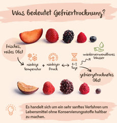 BRIX Cerises amères lyophilisées | Cerises séchées naturelles 105g | Fruits secs Great Taste Award, cerises amères séchées | Sans OGM Sans gluten Les vitamines végétaliennes sont conservées Produits déshydratés Naty Shop