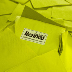 Serviettes en papier Renova Cocktail Vert - 30 Serviettes