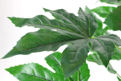 Künstliche Blattpflanze Im Topf Aralie 60 Cm Monstera Seidenblumen Real Touch Grün Kunstpflanzen Pflanzen Aralienpflanze Deko Dekopflanze Grünpflanze Seidenpflanze Zimmerpflanze Kunstblume Büropflanze