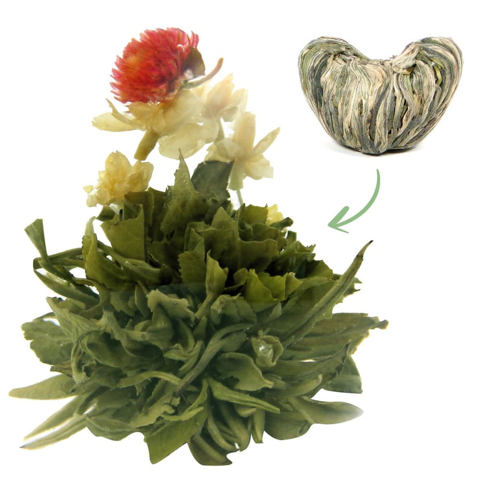 Flori de ceai lingou de aur 1 bucată 6 g | Frunze de ceai verde | Flori de iasomie | Floare târâtoare europeană | Ceai verde | Ceai cu flori | Flori de ceai verde | Ideal pentru iubitorii de ceai