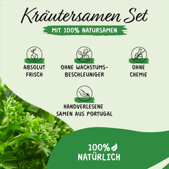 Prademir – Kräutersamen Set aus 16 beliebten Küchenkräutern – Kräuter Anzuchtset mit 100% Natursamen au Portugal – Kräuter Saatgut à l'origan, thym, marjolaine, romarin, aneth, basilic, sauge uvm