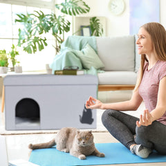 Couvertures et meubles, Animaux, Grottes et maisons, Chats, Lits pour chats, Chats - lits, matelas