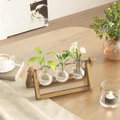 Bamworld Station de propagation hydroponique avec support en bois – 3 vases en verre pour la culture de plantes aquatiques et la décoration de la maison