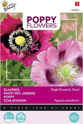 Fleurs de pavot Buzzy Mix de coquelicots Somniferum