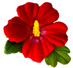 Délicieuse décoration florale d'hibiscus - comestible, taille 9,5 cm, goût sucré décoratif pour gâteaux