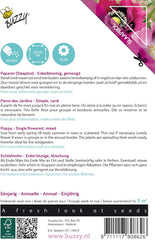 Fleurs de pavot Buzzy Mix de coquelicots Somniferum