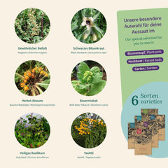 Magic Garden Seeds - Plantes enchantées avec 6 herbes magiques : absinthe, absinthe, mandragore et plus encore - Plantes d'encens à cultiver soi-même et à offrir en cadeau