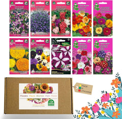Set de semințe de flori Nojus – 10 varietăți de semințe de flori – Semințe de flori de balcon – Semințe de plante colorate – 10 pachete – Semințe de flori sălbatice – Pliculețe cu semințe de flori – Cadou ideal cu semințe de flori