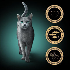 Sheba Portion Pouches Nourriture humide pour chats, Multipack Fresh & Fine en gelée avec thon et saumon MSC, 6x6x50g - Repas sains pour chats avec gelée