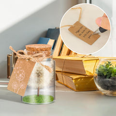 Wunscherfüller Glücksbringer, Echte Pusteblume Im Glas Mit Geschenkbox, Geburtstagsgeschenk Für Frauen, Valentinstagsgeschenk, Kleine Geschenke Für Frauen Freundin