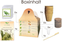 Magic of Nature Oma's Küchenkräuter Box - Anzuchtset - 5 Sorten frische Kräuter Samen - Zum Selberzüchten oder zum Verschenken